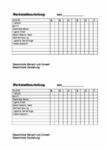 Vorschau diverses/erweiterte lehrformen/Werkstattbeurteilung.pdf